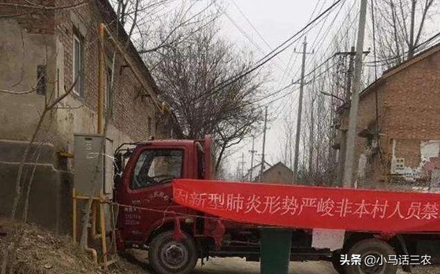 火车停运背后的冒险故事，最新消息引发的小小冒险之旅