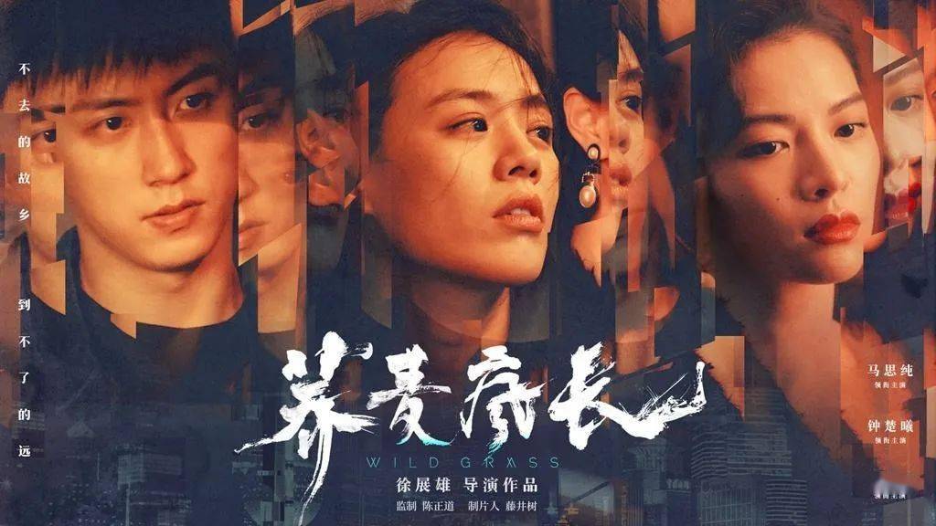 最新韩国电影推荐,最新韩国电影推荐，与自然共舞的奇妙旅程