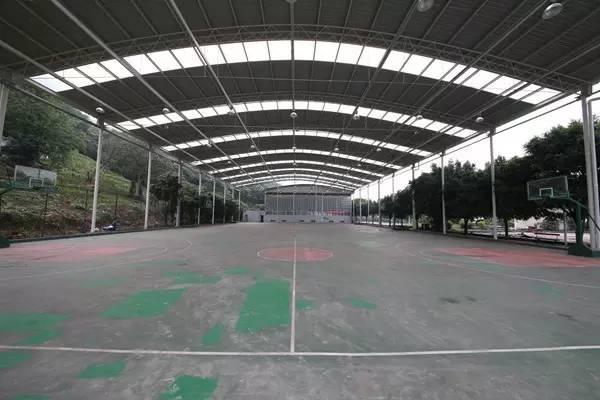 羽毛球最新动态更新速递