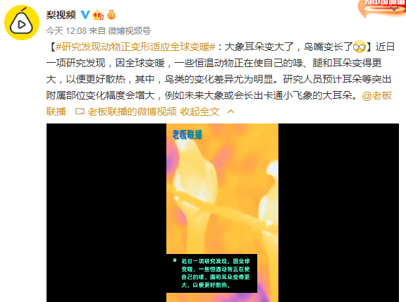 许妈最新热点聚焦与深度解读