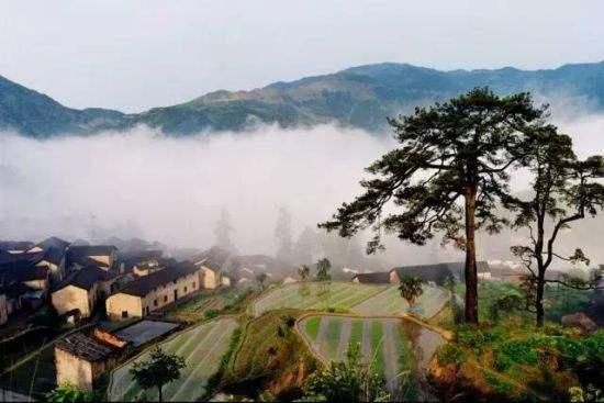 北京医院最新规定揭秘，巷弄深处的医疗秘境与特色小店的奇遇