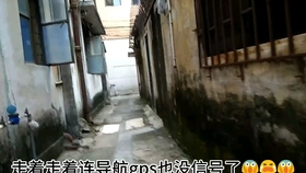 柳胜男最新发现，小巷深处的独特风味