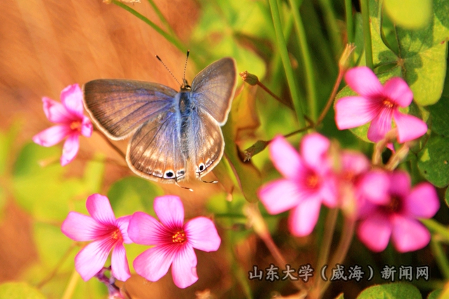 图书馆 第283页