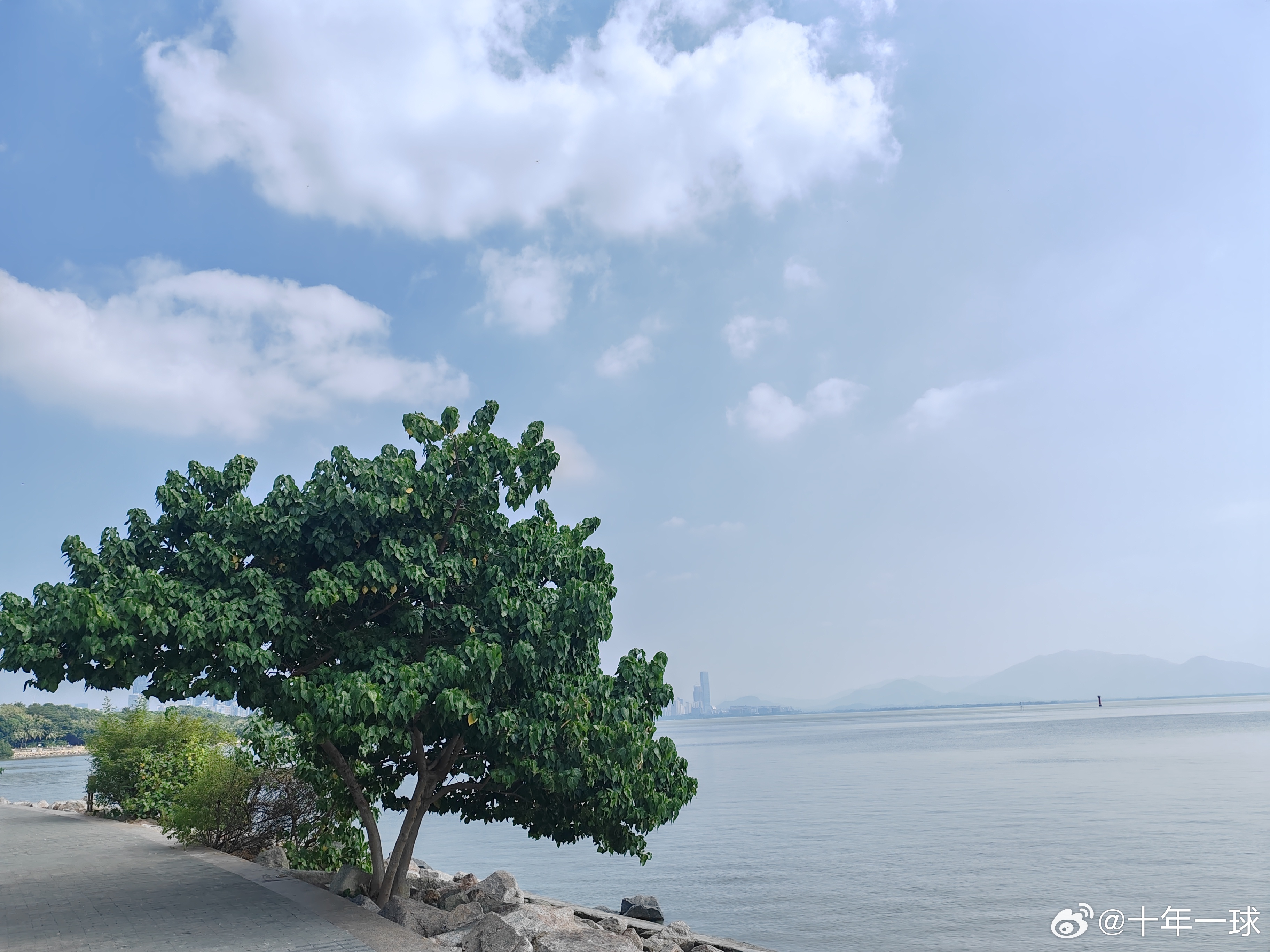 图书馆 第279页