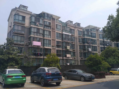 威县世纪名门，科技引领未来，最新消息揭示重塑生活的力量