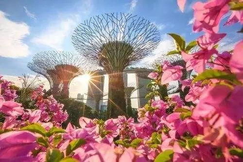 平阴吴英文最新消息，自然美景探索之旅，寻找内心宁静之旅