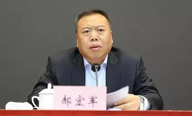 龙岩饶作勋新任职务，引领科技未来，重塑生活体验领导者