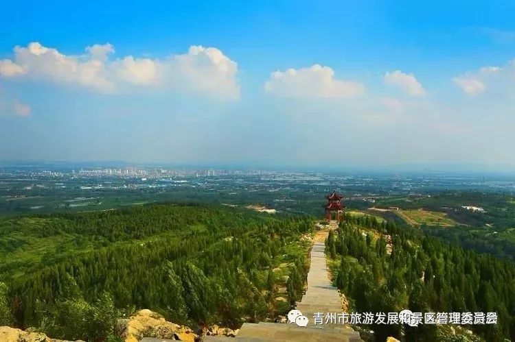 青州市干部任免更新，自然美景背后的探索之旅