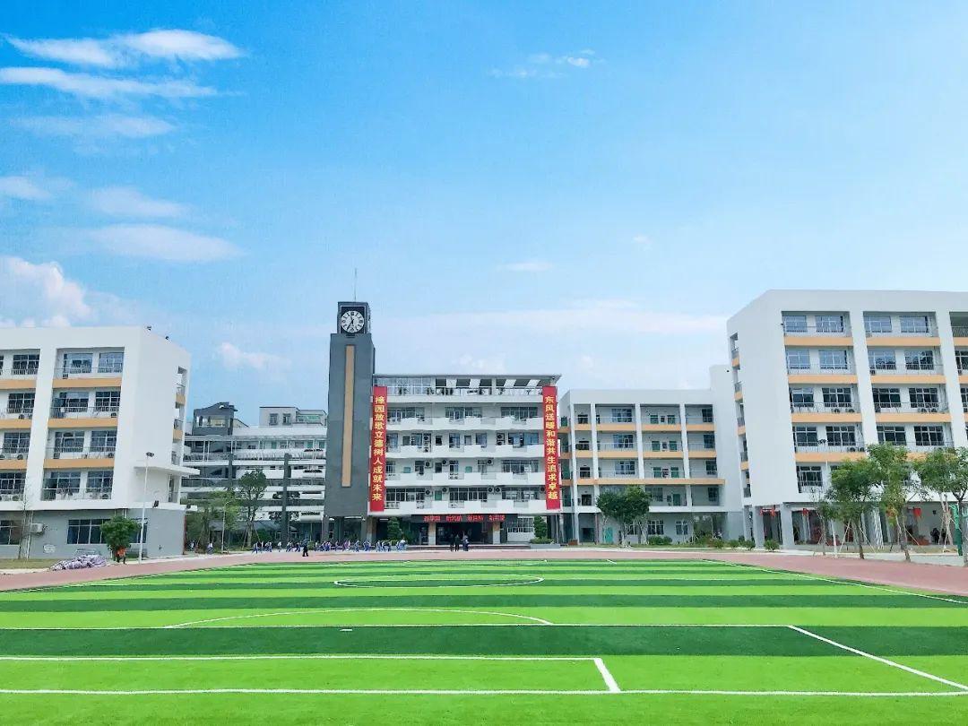 🌟深圳教师招聘最新动态🌟