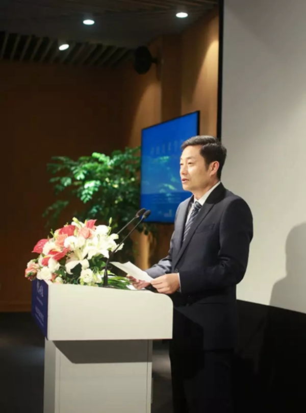 浦东新区副区长的时代印记，背景、重大事件与地位揭秘