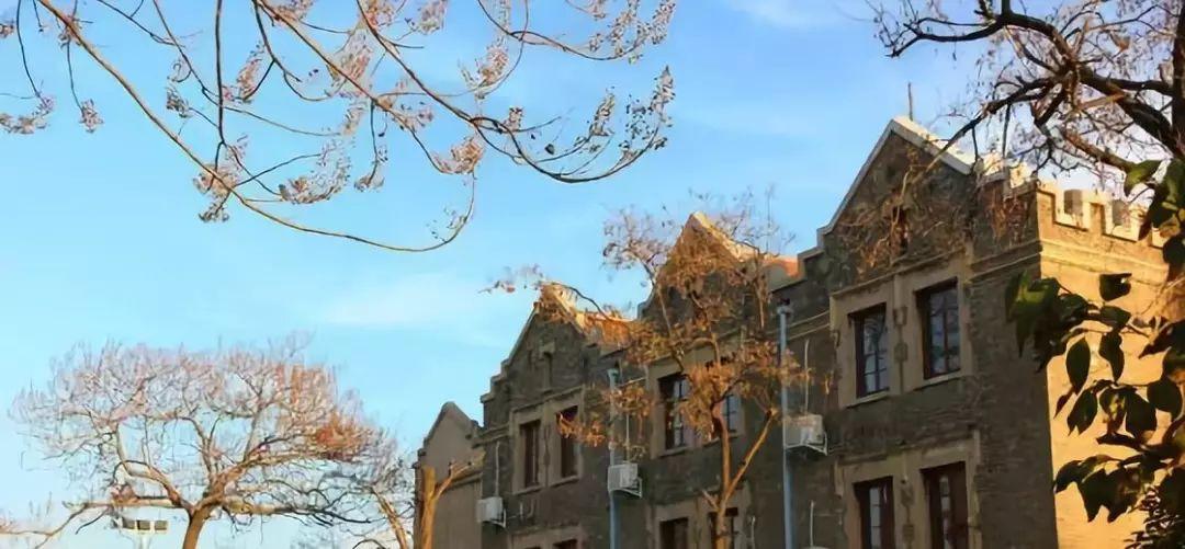 中山大学世界最新排名详解与指南