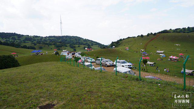 明星牛马，自然美景探索之旅的震撼之旅