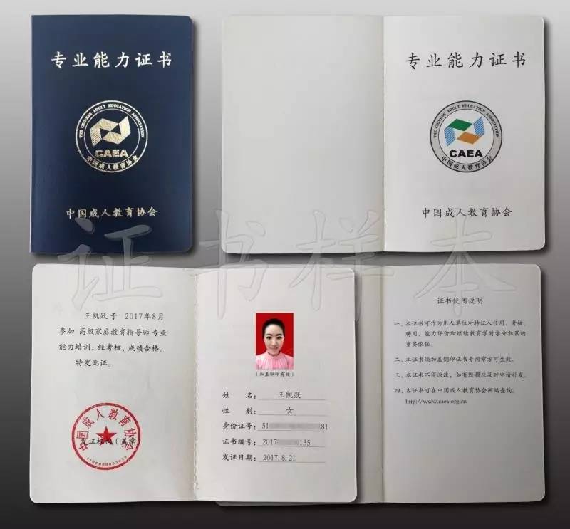 最新职称评定步骤详解，初学者与进阶用户的指南