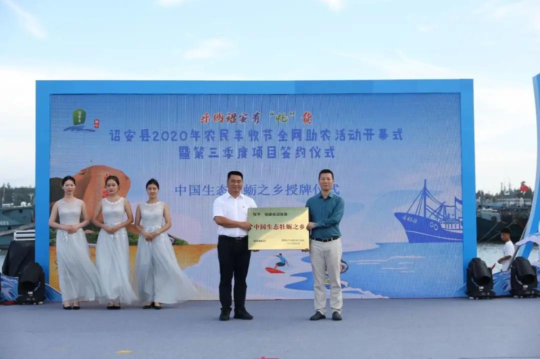 两仪式与魔法世界的日常趣事动漫解析，揭秘两仪式背后的世界