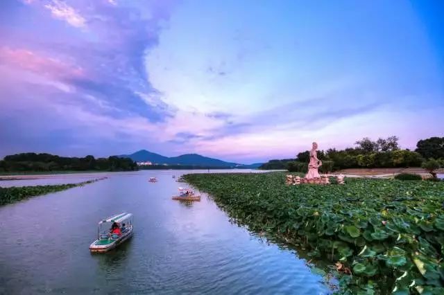 南京最新动态，自然美景探索之旅，寻找内心平和与喜悦的旅程