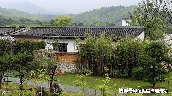 美国最新疫情，观点阐述与分析