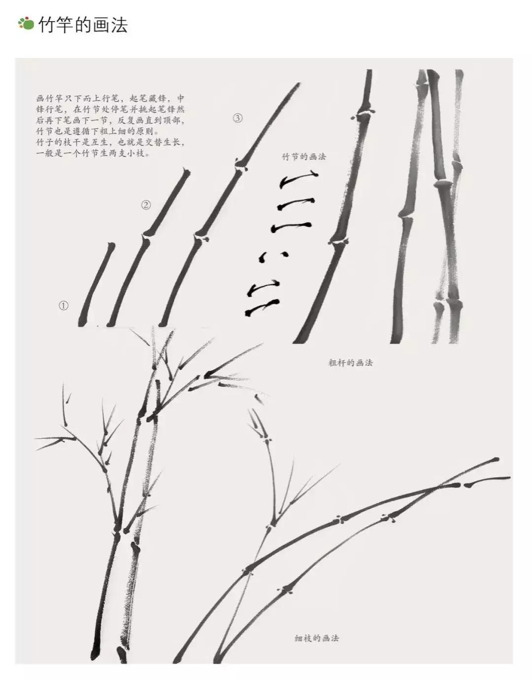 最新相机购买与应用指南，从入门到进阶的全方位教程