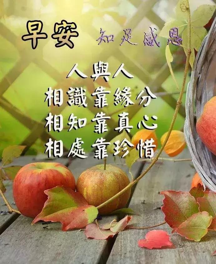 最新铃声，自然美景之旅，寻找内心的平和与喜悦