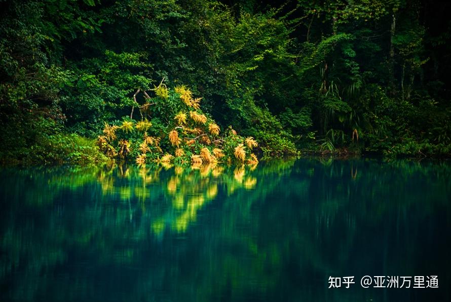 探索自然美景之旅，追寻内心的平和乐园最新资讯