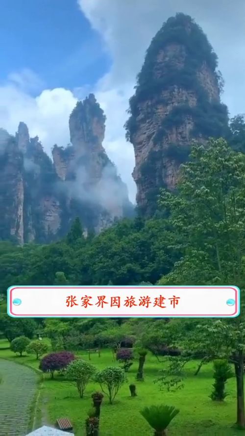张家界最新动态，自然美景探索之旅，寻觅内心平和与宁静的旅程