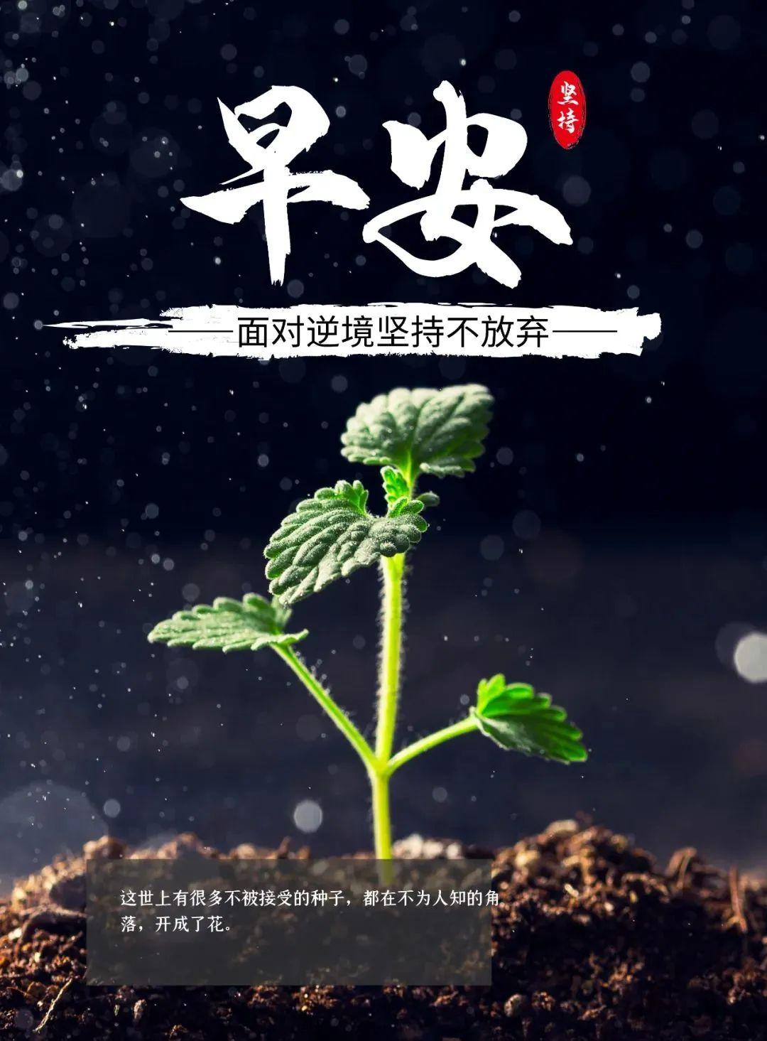 最新语录，探索自然美景之旅，寻找内心平和之地