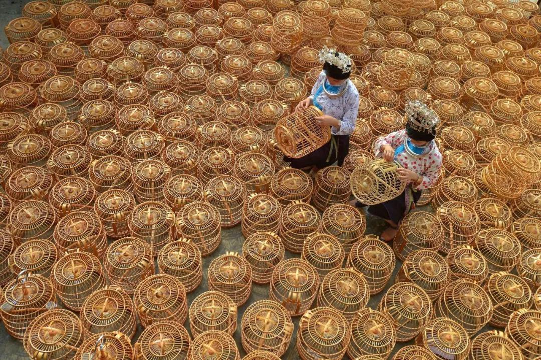 货车最新政策，自然美景探索之旅邀请启航