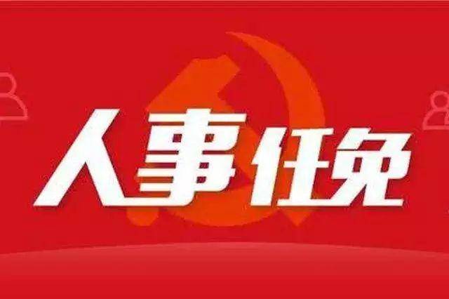 最新干部任免重磅更新！