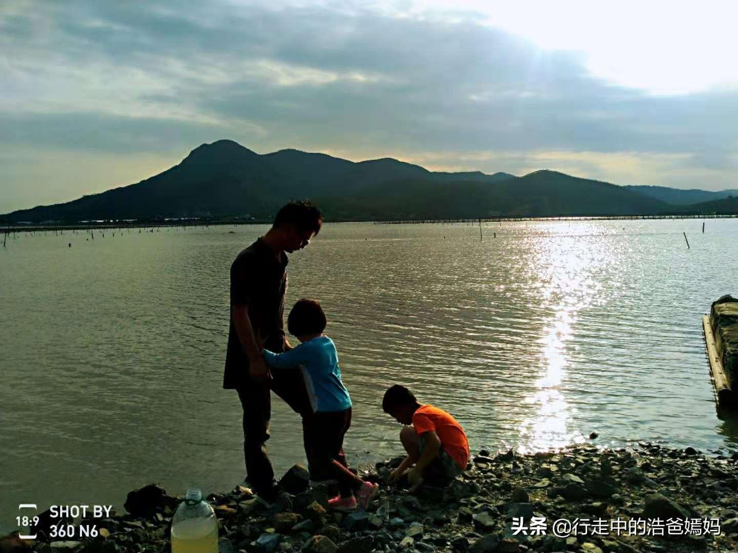 螃蟹最新价格揭秘，一场自然美景探索之旅邀请