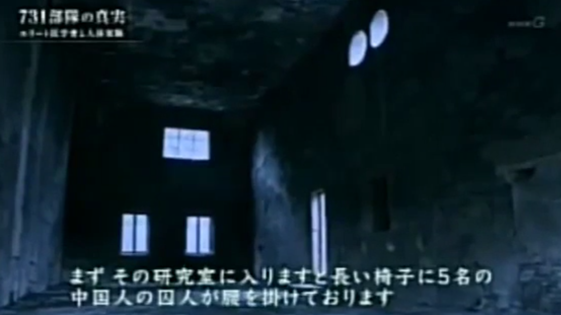 午夜最新，文化现象的深度解读与探讨