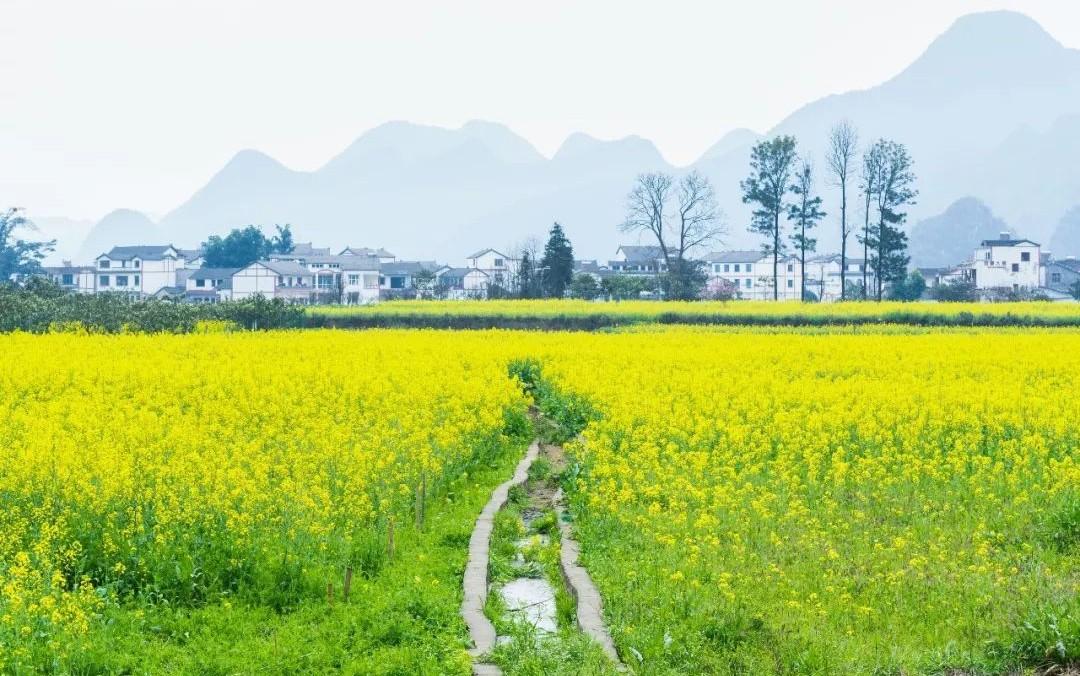 最新明星人气排行榜与探索自然美景，寻找内心宁静之旅