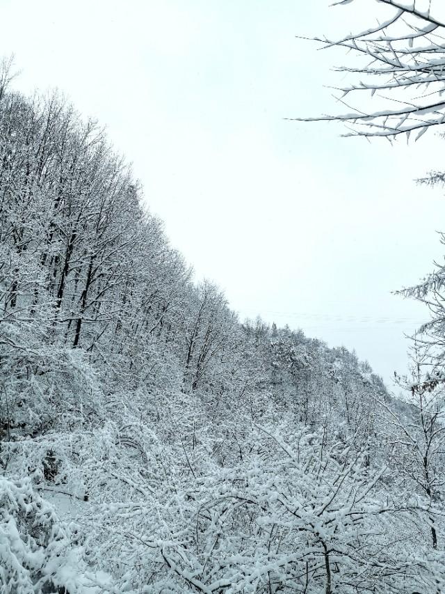 江苏省疫情最新动态与探索自然美景之旅，远离尘嚣，寻找内心平静之路