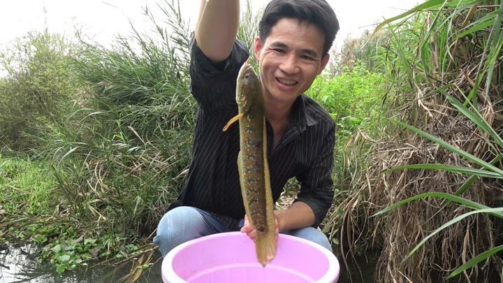 壮乡小莫最新风情视频，领略独特魅力！