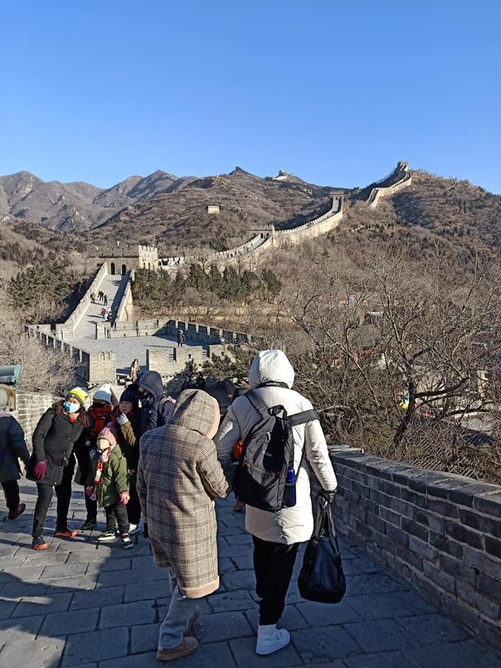 最新Q的温馨日常，友情与家的双重光芒