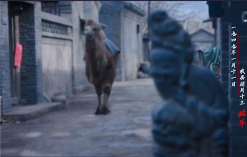 小巷隐秘宝藏