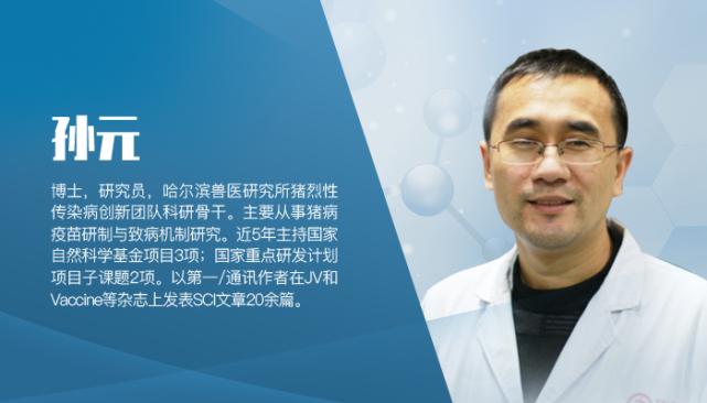 猪瘟最新动态与时代影响力，背景、事件与影响全解析