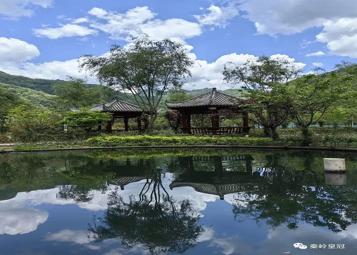 雍最新，自然美景的探索之旅