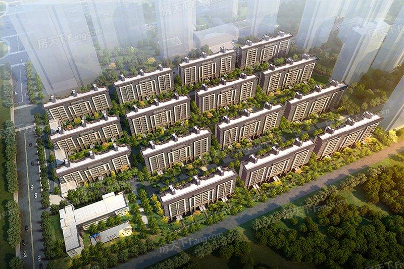 荥阳最新动态，多维度视角的城市发展分析与观点探讨