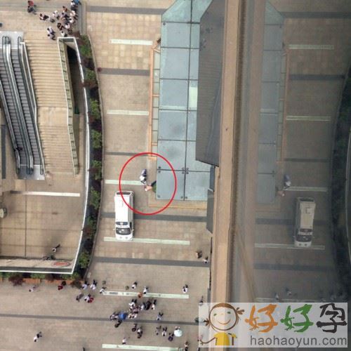 最新坠楼事件深度分析与观点阐述