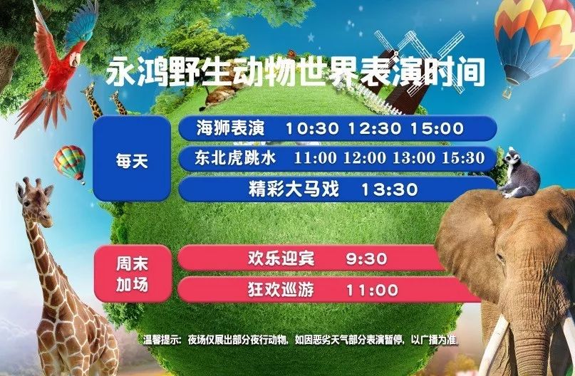 移动最新套餐，探索自然美景，宁静心灵之旅