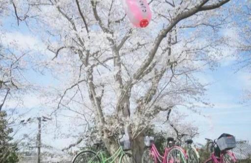 今日最新新闻，自然美景之旅，探寻内心平和之地