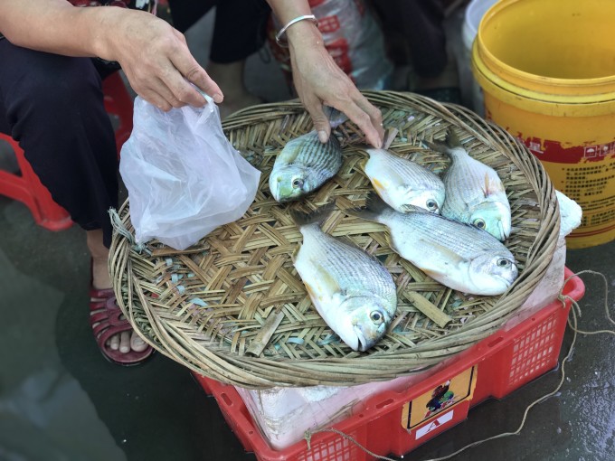 探索小巷深处的隐藏美食，最新笋的诱惑与特色小店的奇妙之旅
