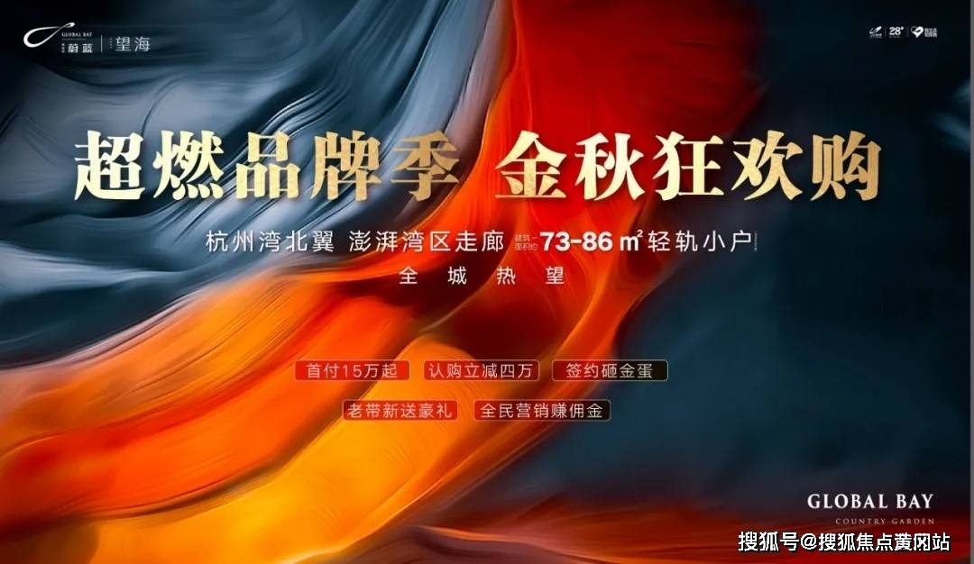 最新保险政策深度解析与观点阐述，全面解读新保险法规