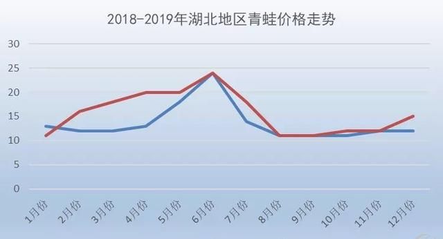 牛蛙最新价格概览，市场分析、趋势预测与影响因素深度探讨