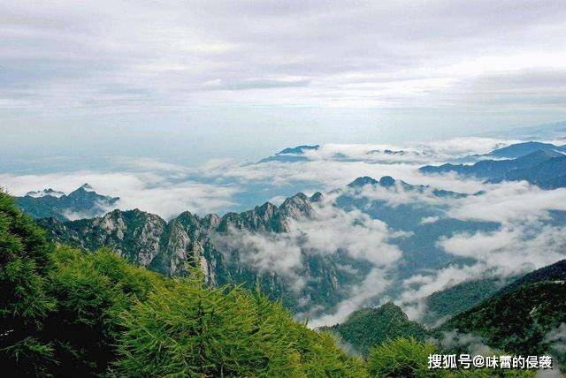 秦岭最新动态，攀登知识高峰的自信之旅，成就感的旅程分享