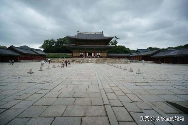 韩国电视剧最新动态，时代之光下的繁荣与影响