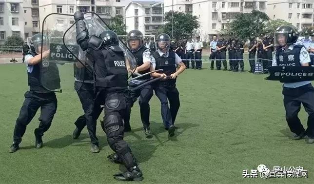 宜宾最新招聘大揭秘，职位信息一网打尽！