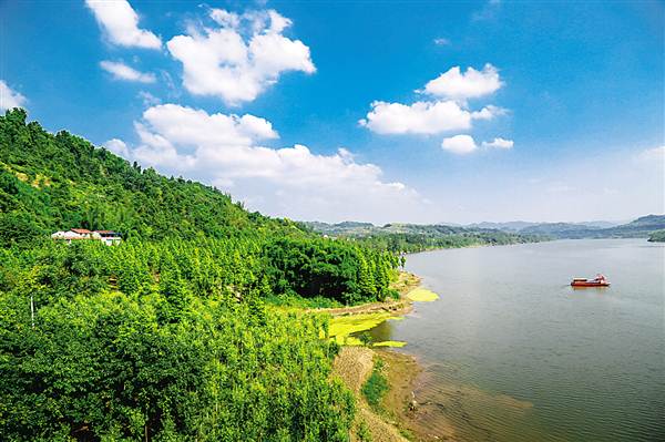 合川最新动态，自然美景探索之旅，寻觅内心平和与宁静