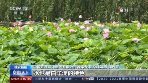 雄安新区最新动态，变化中的希望之土，激发自信与成就的力量