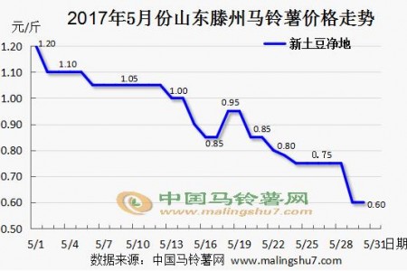 土豆最新行情与自然美景的旅行探索