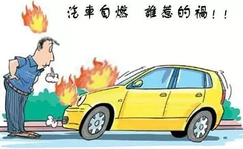 交通事故最新动态，变化中的自信与成长力量